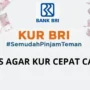 Ajuan KUR BRI 2023 Anda Ditolak? Simak di Sini Agar Ajuan Langsung ACC!