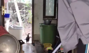 Viral Wanita Membersihkan Rumah tapi Dapat Jutaan Like di TikTok, Begini Ceritanya