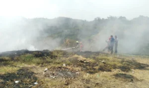 Petugas Pemadam Kebakaran Kota Cimahi berjibaku memadamkan api yang membara dikebun warga, akibat ada warga yang membakar sampah sembarangan / Cecep Herdi