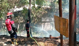 Petugas Damkar saat memadamkan kebakaran di ruang terbuka hijau di Baros Kota Cimahi. Kebakaran lahan terjadi akibat kekeringan dan pembakar sampah sembarangan./ Cecep Herdi