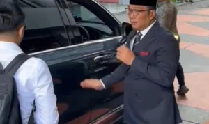 Harga Mobil Volvo Biru yang Dipakai Ridwan Kamil ke Kemendagri Sentuh Rp1 M!