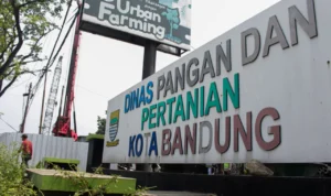 Bangunan bagian depan di sekitar Kantor Dinas Pangan dan Pertanian (Dispangtan) Kota Bandung tengah dibongkar imbas pembangunan Fly Over Ciroyom (6/9).