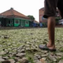 Ist. Lahan Kering Akibat Elnino Berkepanjangan. Foto. Pandu Jabar Ekspres