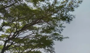 Tritan Point, kawasan olahraga favorit di Bandung Timur.