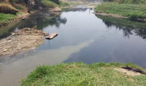 Makin Mengenaskan! Pemerintah Diminta Tegas Soal Kondisi Sungai Cileungsi Kondisi Sungai Cileungsi yang semakin parah (11/9).