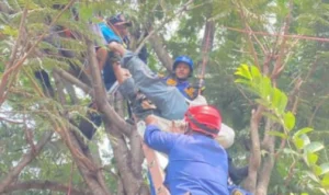 Kakek di Bogor Meninggal Akibat Sengatan Listrik Saat Ingin Mengambil Petai Petugas Damkar Kabupaten Bogor saat mengevakuasi korban yang terkena aliran listrik.