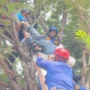 Petugas Damkar Kabupaten Bogor saat mengevakuasi korban yang terkena aliran listrik.