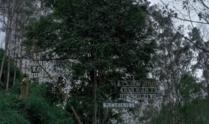 Kondisi Jalan Desa Cipanjalu di Cilengkrang, Kabupaten Bandung yang belum mulus menyeluruh.