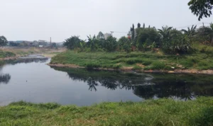 Bupati Bogor Diajak KP2C Susur Sungai Cileungsi Imbas Pencemaran lingkungan