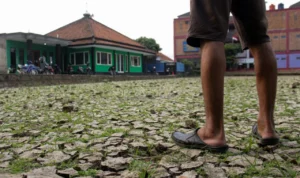 3 Daerah di Jabar Masuk Status Tanggap Darurat Kekeringan Ilustrasi: Kekeringan yang melanda di Jabar.