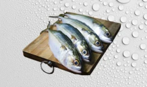 Manfaat Konsumsi Ikan Kembung Bagi Kesehatan Tubuh! Manfaat Konsumsi Ikan Kembung Bagi Kesehatan Tubuh!
