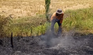 KAI Daop 3 Cirebon Himbau Masyarakat Tidak Membakar Sampah di Sekitar Jalur Kereta Api, Ini Alasannya!