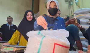 Harga Beras di Kota Banjar Kian Meroket