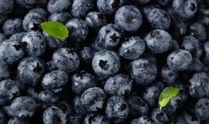 Salah Satu Jenis Berry, Ini Manfaat Blueberry Bagi Kesehatan! Salah Satu Jenis Berry, Ini Manfaat Blueberry Bagi Kesehatan!