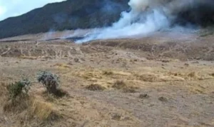 Kebakaran di Alun-alun Suryakencana Gunung Gede Pangrango, Taman Bunga Edelwis Terancam