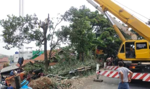 Hasil dari Kecelakaan Truk di Tanjungsari, 1 Unit Crane dan Badak 55 Diturunkan Untuk Evakuasi Hasil dari Kecelakaan Truk di Tanjungsari, 1 Unit Crane dan Badak 55 Diturunkan Untuk Evakuasi