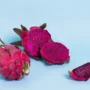 Kaya Akan Nutrisi, Ketahui Manfaat Konsumsi Buah Naga Bagi Tubuh!