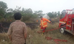 Kobaran Api di Gunung Jayanti Palabuhanratu Padam, Lokasi Masih Dipantau Petugas Ilustrasi: Pemadaman api di Gunung Jayanti oleh petugas.