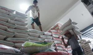 Imbas Bantuan dan Gerakan Pangan Murah di Jabar, Harga Beras Diklaim Mulai Stabil? Ist. Harga beras di Jabar Di klaim Stabil. Foto. Pandu Muslim Jabar Ekspres.