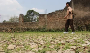 Dampak Musim Kemarau di Jabar Semakin Meluas, BPBD Jabar Catat 393 Desa Alami Kekeringan Dampak Musim Kemarau di Jabar Semakin Meluas, BPBD Jabar Catat 393 Desa Alami Kekeringan