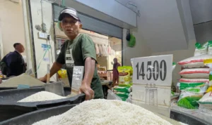 Harga Beras Tak Kunjung Turun, Pedagang Menanti Beras Bulog yang Dijanjikan Pemerintah