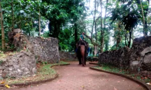 Kadaluwarsa, Bapemperda Jabar Sampaikan Usulan Perda Penyelenggaraan Kepariwisataan Baru: Perlu Perubahan! ILUSTRASI : Masyarakat menikmati wahana naik gajah di Bandung Zoo
