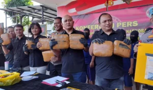Pengedar Ganja Antar Pulau Ditangkap! Polres Cimahi Temukan Barbuk di Atas Tumpukan Ikan Asin Doc. Satuan Reserse Narkoba Polres Cimahi berhasil menggagalkan upaya penyelundupan narkotika (Firman/Jabar Ekspres)