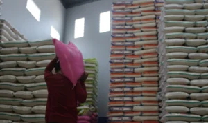 Antisipasi Kenaikan Inflasi dan Harga Beras Ditengah Ancaman El Nino, Pemprov Jabar Terus Genjot GPM Hingga Akhir Tahun