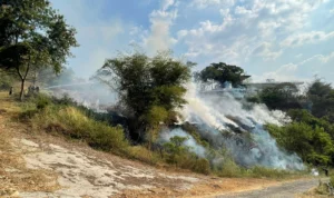 Dinas Pemadam Kebakaran Kabupaten Bandung Sebut Sejak Juni Hingga September Kebakaran Lahan atau Hutan Terjadi 170 Kali dan Hampir Setiap Hari. Foto Agi Jabar Ekspres