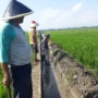 43 Hektare Sawah di Kota Banjar Gagal Panen Petani di Kota Banjar, Jawa Barat menormalisasi saluran air untuk mengairi sawah mereka pada musim kemarau ini.