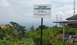 PT BSS beri rasionalisasi terkait proyek Nimo Land