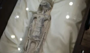 Pameran makhluk misterius di meksiko apakah benar alien?