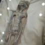 Pameran makhluk misterius di meksiko apakah benar alien?