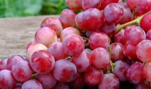 manfaat anggur merah