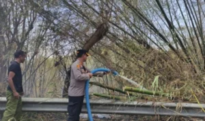 Penanggulangan Kebakaran Hutan dan Lahan di Kawasan Hutan Lindung Watu Kanggorok Penanggulangan Kebakaran Hutan dan Lahan di Kawasan Hutan Lindung Watu Kanggorok