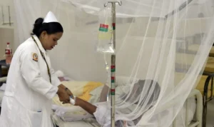 Bangladesh Darurat DBD, 3.084 Kasus dengan 17 Kematian dalam 24 Jam Terakhir
