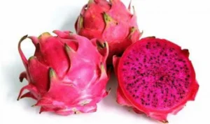 manfaat buah naga
