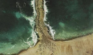 Penjelsan Ilmiah Tentang Laut Merah yang Terbelah Oleh Tongkat Nabi Musa