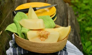 Khasiat Buah Melon dengan Berbagai Nutrisi Dapat Mengontrol Berat Badan! Khasiat Buah Melon dengan Berbagai Nutrisi Dapat Mengontrol