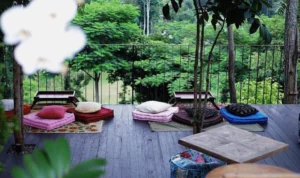 Rekomendasi Tempat Ngopi di Bandung yang Bernuansa Alam