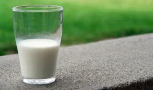 Fakta Kesehatan Susu Kambing Etawa, Baik untuk Penderita Alergi