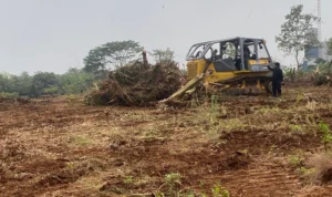 Kementerian Agama RI dibantu TNI, Polri dan Pemerintah Kota Depok menggelar pengosongan lahan UIII seluas 4 hektar, Selasa 19 September 2023.