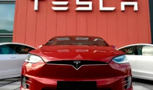 Pelanggan Setia Tesla Bisa Kunjungi Pabrik Pembuatan Tesla (Istimewa)