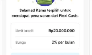 Dana Pinjaman Hingga Rp 200 Juta dengan Flexi Cash Jenius