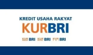 Calon TKI Bisa Ajukan Pinjaman Dana di KUR BRI 2023, Simak Yuk di Sini!