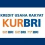 Calon TKI Bisa Ajukan Pinjaman Dana di KUR BRI 2023, Simak Yuk di Sini!