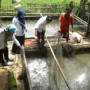 Ilustrasi: Sektor ikan di Sumedang tidak mengalami pengaruh selama musim kemarau.
