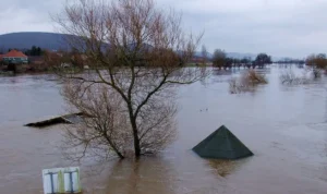 Banjir di Cina Selatan Menewaskan Beberapa Orang Hingga 70 Buaya Kabur dari Penakaran