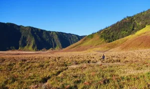 Para Wisatawan Bisa Kembali Mengunjungi Bromo Pascakebakaran Hutan Para Wisatawan Bisa Kembali Mengunjungi Bromo Pascakebakaran Hutan