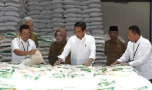 Cara cek bansos beras 10kg